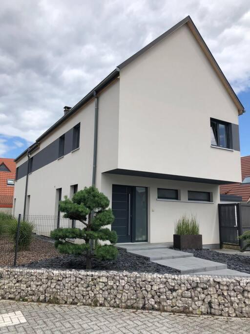 Châtenois Maison D'Architecte Situee Sur La Route Des Vins מראה חיצוני תמונה